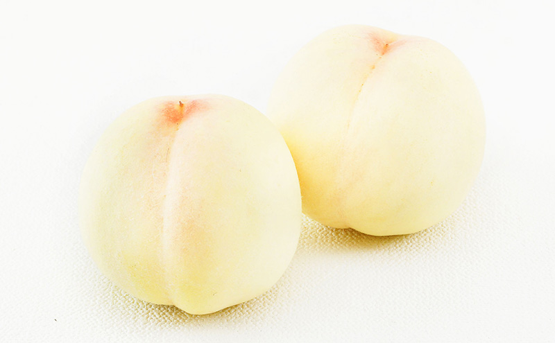 桃 ぶどう 2026年 先行予約 果物 詰合せ 白桃 2玉（1玉220g以上）ニューピオーネ 2房（1房480g以上）化粧箱入り もも 葡萄 岡山県産 国産 フルーツ 果物 ギフト 上品な甘み とろける 強い甘み 酸味 