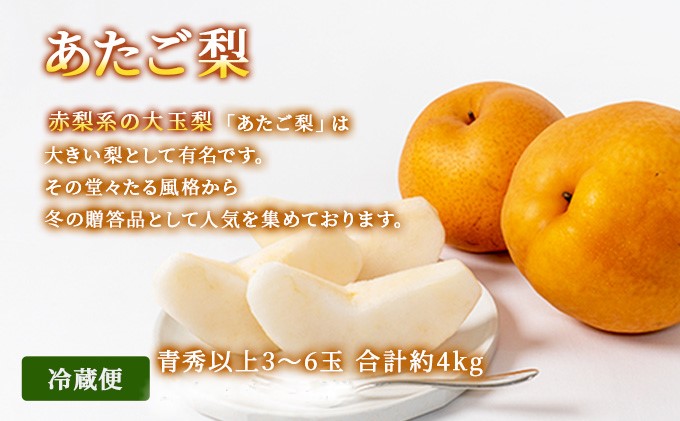 フルーツ 2026年 先行予約 晴れの国 岡山 の フルーツ 定期便 3回コース 桃 ぶどう 梨 岡山県産 国産 フルーツ 果物 ギフト マスカット もも モモ なし お楽しみ 