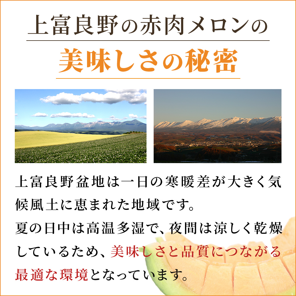 北海道上富良野町のふるさと納税 【 2025年発送 先行予約 】 ふらの 赤肉メロン 2kg～2.6kg 2玉 厳選 秀品 特4サイズ セット めろん 果物 フルーツ デザート くだもの 旬の果物 旬のフルーツ ファーム富良野 北海道