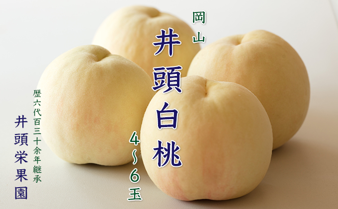 桃 2026年 先行予約 井頭 白桃 4～6玉入り 1.5kg規格箱 もも モモ 岡山県産 国産 フルーツ 果物 ギフト 井頭栄果園 