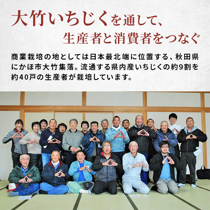 フローズン いちじく5kg（1kg×5袋） 果物詰合せ フルーツ 冷凍 無花果