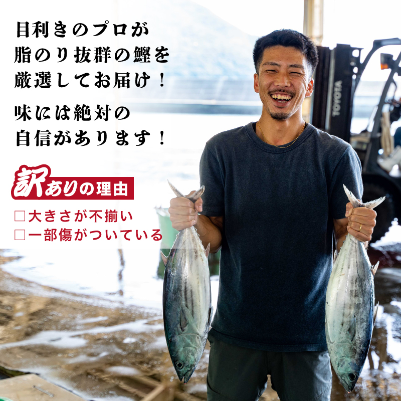 訳あり 鰹 たたき 1.8kg サイズ 不揃い 規格外 傷 小分け 真空 パック 新鮮 鮮魚 天然 鰹 四国一 水揚げ タタキ 冷凍 大容量 人気 ハマスイ 愛南町 愛媛県