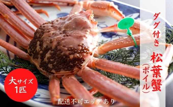 ys{{ÎszI ^Ot tI ({C) 1C[  Jj tKj ] uhI