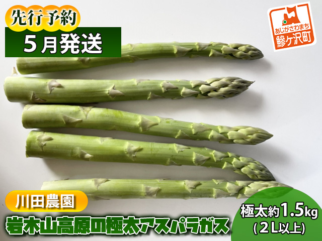 yX˃򒬁zs\ 2026N ؎R ɑ AXpKX 1.5kg 2Lȏ 56 AXp  {̖ Yn G߂̖ t X X ˃