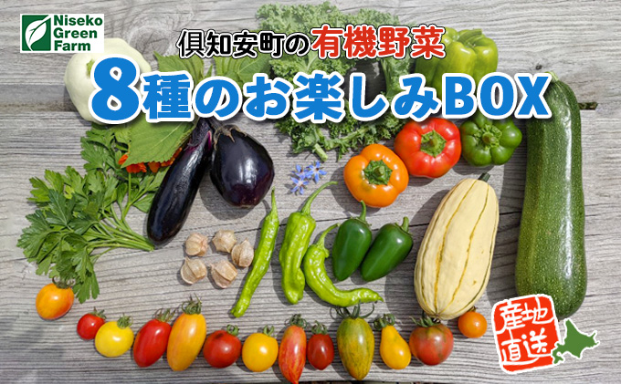 北海道産 有機 野菜BOX 8種類 詰め合わせ セット 採れたて 夏野菜 オーガニック 旬 新鮮 詰め合わせ お取り寄せ 産地直送 産直 野菜 農作物 ギフト 送料無料 北海道 倶知安町 野菜セット 