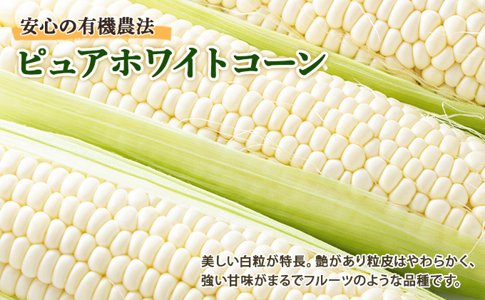 【2026年発送】北海道産 とうもろこし 有機 ピュアホワイトコーン 3kg L-LL オーガニック 旬 白い スイート コーン トウモロコシ お取り寄せ 産地直送 野菜 とうきび