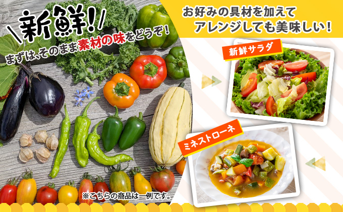 北海道産 有機 野菜BOX 8種類 詰め合わせ セット 採れたて 夏