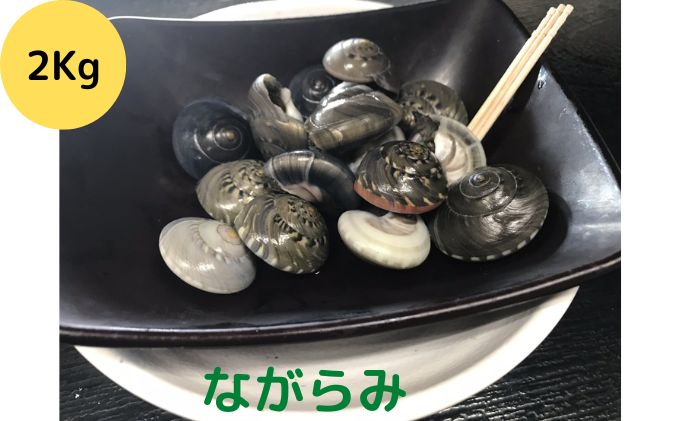 食べたら止まらないやつ九十九里浜の“ながらみ“2kg入り 海鮮 魚介類 魚貝類 貝 酒の肴 おつまみ 