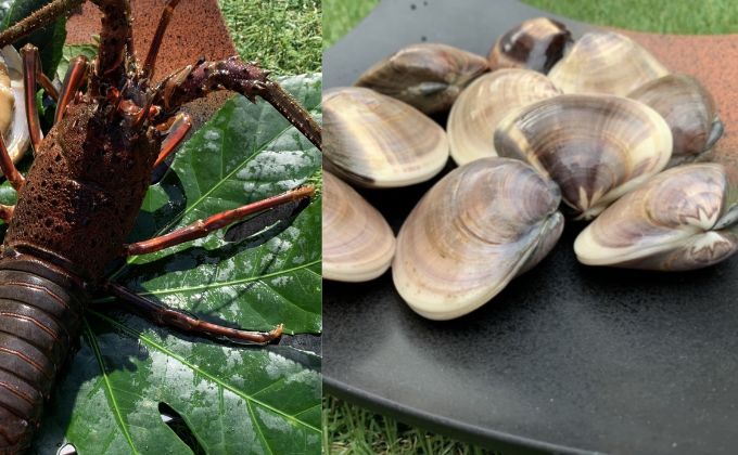 漁師が選ぶ爆漁セット（伊勢海老、天然蛤大）冷凍 海鮮 魚貝類 魚介類 イセエビ はまぐり BBQ バーベキュー 海の幸 産地直送 