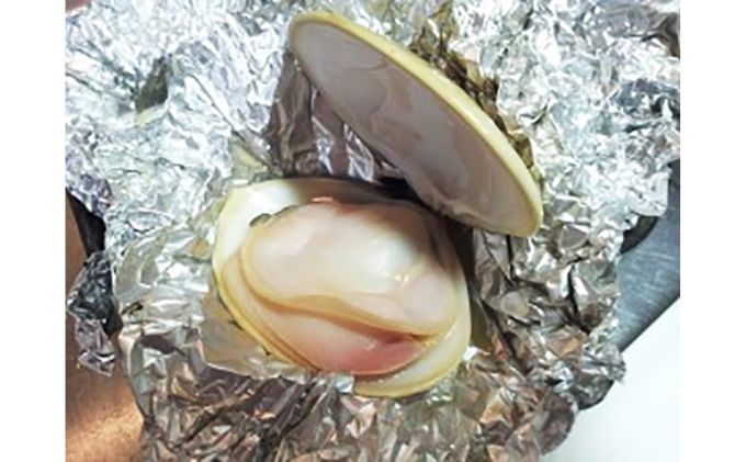 地元漁師が厳選！”天然蛤”ご注文時お勧めサイズお任せセット3kg入り 海鮮 魚介類 魚貝類 貝 はまぐり たっぷり 3kg 