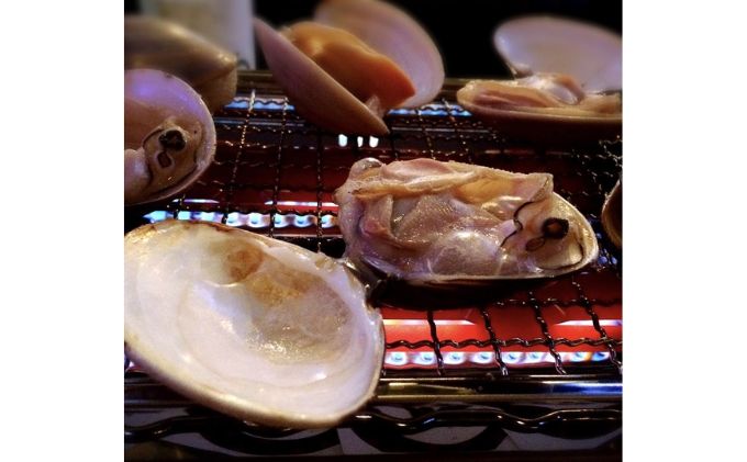 漁師が選ぶ爆漁セット（伊勢海老、天然蛤大）冷凍 海鮮 魚貝類 魚介類 イセエビ はまぐり BBQ バーベキュー 海の幸 産地直送 