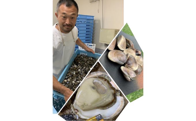 地元漁師が厳選！”天然蛤”ご注文時お勧めサイズお任せセット5kg入り 海鮮 魚介類 魚貝類 貝 はまぐり たっぷり 5kg 