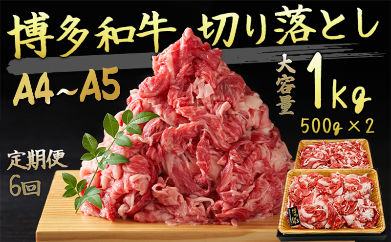 yqsz 6  A4`A5 ؂藎Ƃ v1000g ai500g×2pj[X Ԑg o Jr  D]ɂpI6 zsF