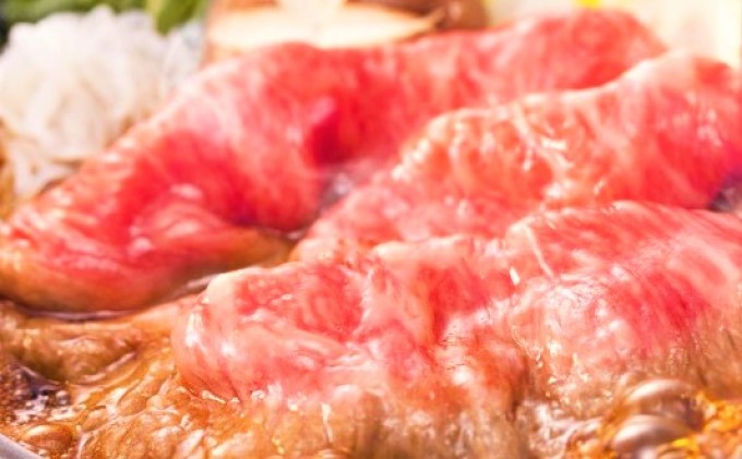 定期便 6ヶ月 牛肉 数量限定 博多和牛 A4～A5 しゃぶしゃぶ すき焼き セット 700g 6回 配送不可：離島 