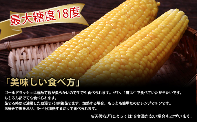【2025年8月～発送】とうもろこし ゴールドラッシュ 10本 北海道 富良野産 (スイートベジタブルファクトリー) とうもろこし とうきび コーン 野菜 新鮮 甘い ジューシー 贈り物 ギフト 道産 直送 ふらの