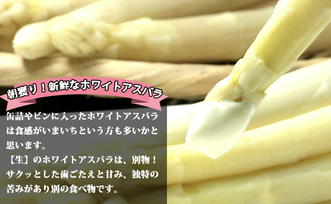 【2026年5月中旬～発送】グリーン アスパラ・ホワイト アスパラ S～Lサイズ混合 1kg セット北海道 富良野市 (スイートベジタブルファクトリー) 野菜 新鮮 直送 朝採り アスパラガス 道産 北海道 ふらの 