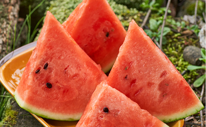 【2026年7月～発送】すいか 約5kg 北海道 富良野市 (スイートベジタブルファクトリー) フルーツ 果物 新鮮 甘い 贈り物 ギフト 道産 おやつ デザート ふらの ブランド 夏 