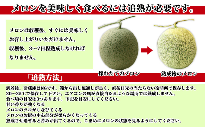 【2025年7月下旬～発送】北海道 富良野 メロン 2Lサイズ 1.5kg以上×2玉 (スイートベジタブルファクトリー) メロン フルーツ 果物 新鮮 甘い 贈り物 ギフト 道産 ジューシー おやつ ふらの ブランド 夏 