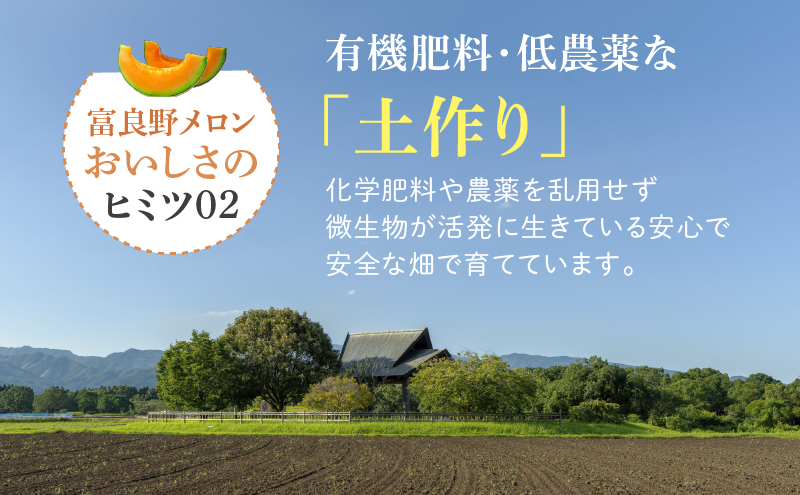 【2026年夏発送】※訳あり 富良野 メロン 約8kg 〈3玉～8玉入り〉メロン フルーツ 果物
