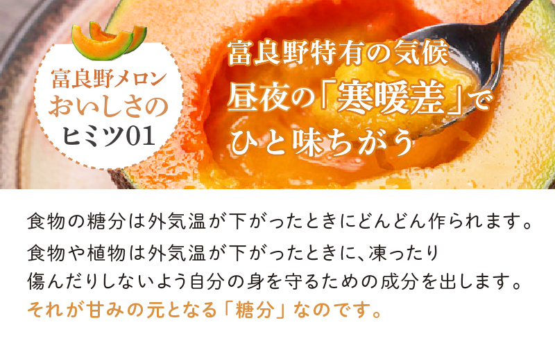 【2026年7月中旬～発送】※訳あり※ 富良野 メロン 約8kg 〈3玉～8玉入り〉北海道 富良野市 (スイートベジタブルファクトリー) メロン フルーツ 果物 新鮮 甘い 贈り物 ギフト 道産 ジューシー おやつ ふらの ブランド 夏 