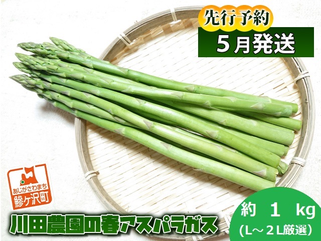 先行予約 2026年 川田農園 アスパラガス 約1kg L～2L 厳選 5月6月発送 アスパラ 野菜 旬の野菜 産地直送 季節の野菜 春野菜 青森 青森県 鰺ヶ沢町