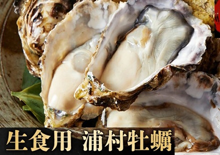 �y�O�d�����H�s�zI-55���H�p�Y�����y�P�T����Z�b�g