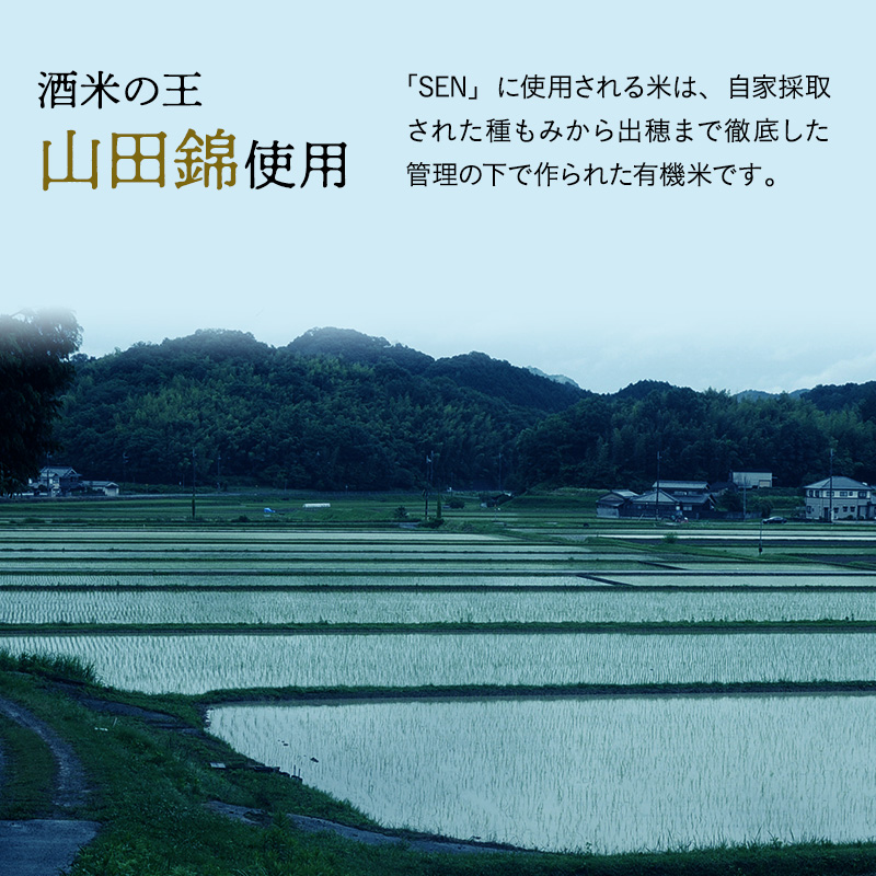 兵庫県加西市のふるさと納税 日本酒 720ml 2本 フルボトル 2023年全国新酒鑑評会金賞受賞 SEN 純米大吟醸 清酒 山田錦100％使用 純米酒 お酒 酒 アルコール 純米大吟醸酒 山田錦 贈り物 ギフト プレゼント