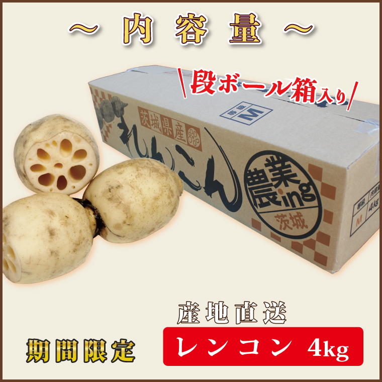 行方市産れんこん 約4kg｜蓮根 れんこん レンコン 野菜 行方市産 茨城県 行方市(DV-5)
