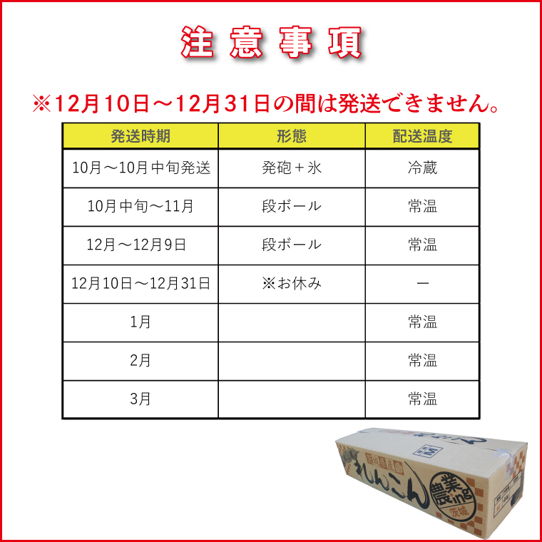 行方市産れんこん 約4kg｜蓮根 れんこん レンコン 野菜 行方市産 茨城県 行方市(DV-5)