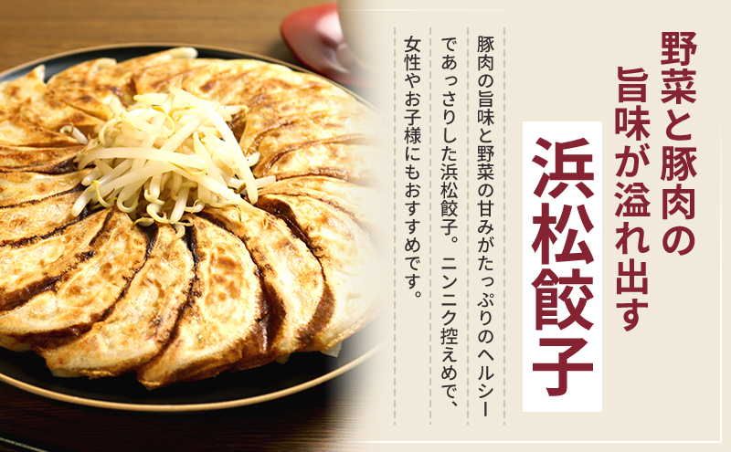 静岡県浜松市のふるさと納税 浜松餃子 80個 (20個×4袋) セット 詰め合わせ 餃子のたれ 小袋 知久屋 国産 ぎょうざ 餃子 ギョーザ 冷凍餃子 冷凍ギョーザ 工場直送 ヘルシー あっさり 惣菜 中華 点心 静岡 静岡県 浜松市 【配送不可：離島】