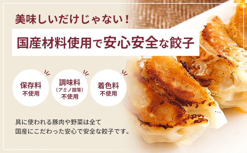 静岡県浜松市のふるさと納税 浜松餃子 80個 (20個×4袋) セット 詰め合わせ 餃子のたれ 小袋 知久屋 国産 ぎょうざ 餃子 ギョーザ 冷凍餃子 冷凍ギョーザ 工場直送 ヘルシー あっさり 惣菜 中華 点心 静岡 静岡県 浜松市 【配送不可：離島】