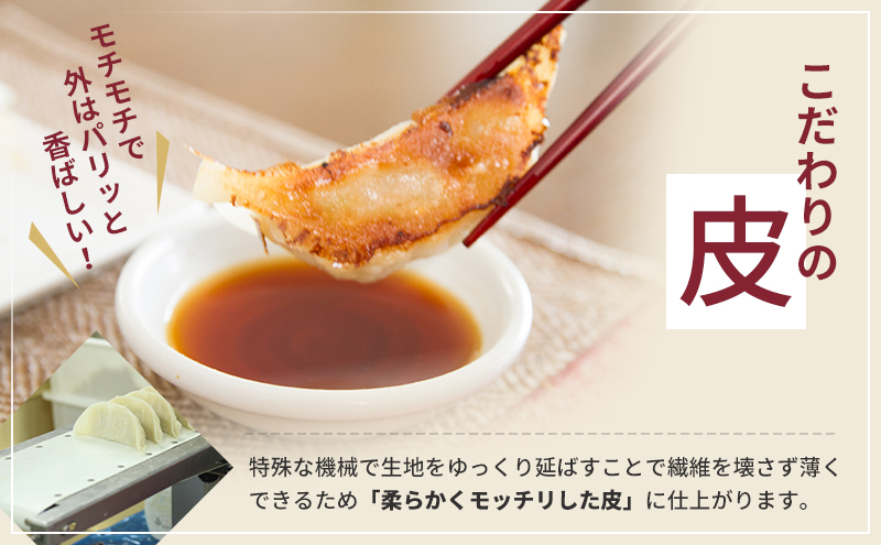 静岡県浜松市のふるさと納税 浜松餃子 80個 (20個×4袋) セット 詰め合わせ 餃子のたれ 小袋 知久屋 国産 ぎょうざ 餃子 ギョーザ 冷凍餃子 冷凍ギョーザ 工場直送 ヘルシー あっさり 惣菜 中華 点心 静岡 静岡県 浜松市 【配送不可：離島】