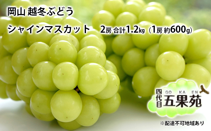 yR˓szz~ Ԃǂ VC }XJbg 2[ v1.2kgi1[ 600gjRY l ܉ʉ ʕ t[c fU[g  n ϓx20x _ Ȃ 炲