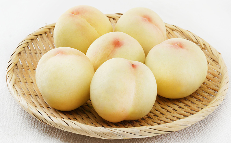 桃 2026年 先行予約 清水 白桃 6玉（1玉300g以上）等級： ロイヤル 化粧箱入り もも モモ 岡山県産 国産 フルーツ 果物 ギフト 最高等級品 糖度12.0度以上 芳潤な香りとろける 贈答用 