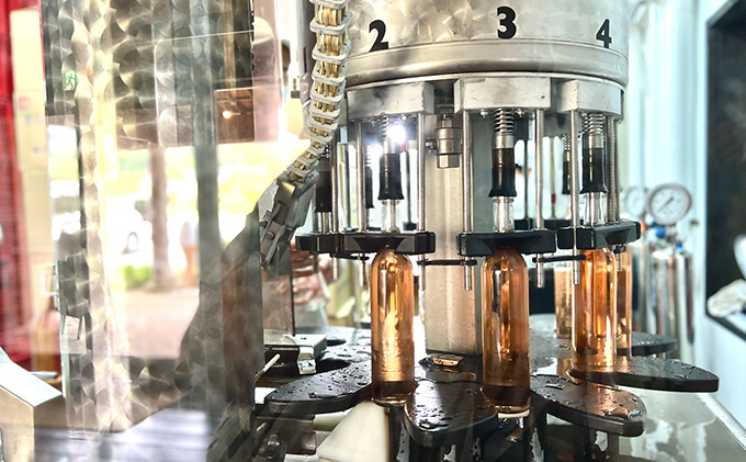 赤ワイン 京都産 2022茜（あかね） 辛口 720ml 《 天橋立ワイナリー 》