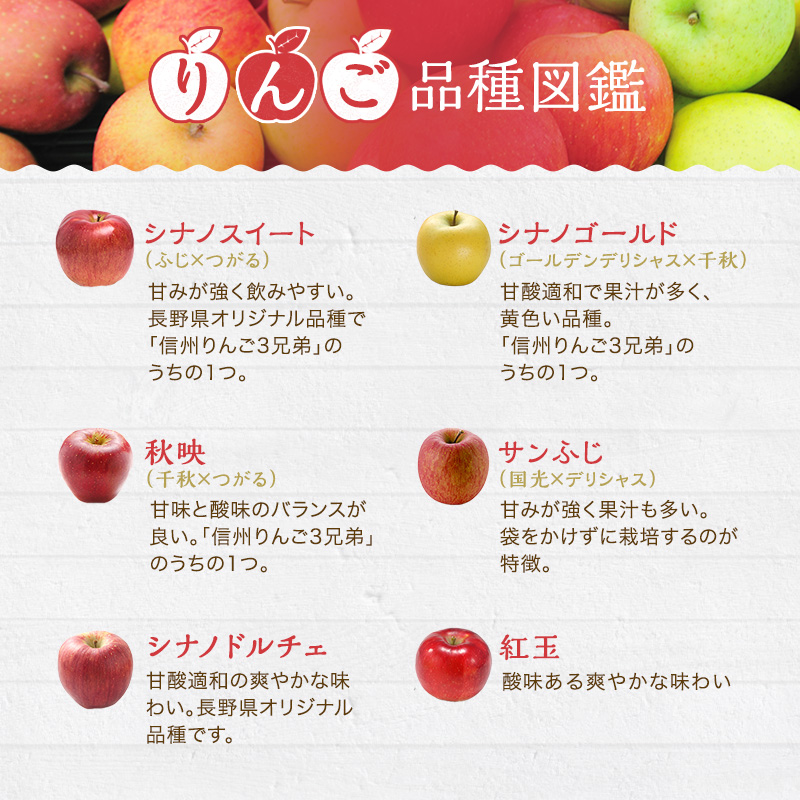 りんごジュース 信州産 りんご 6品種の ジュース 詰め合わせ リンゴ 長野 瓶 フルーツ リンゴジュース 果物 林檎 サンふじ 紅玉 秋映 シナノスイート シナノゴールド シナノドルチェ セット 小諸 