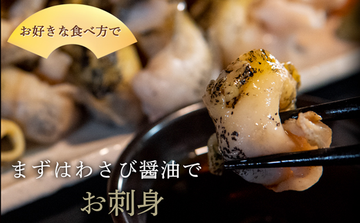 北海道鹿部町産 つぶ貝 600g （300g×2袋） 刺身 不揃い つぶ ツブ ツブ貝 つぶ貝