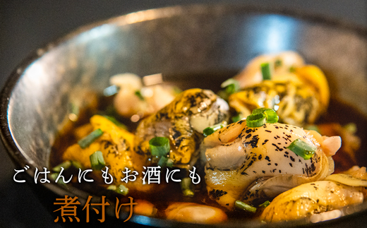 北海道鹿部町産 つぶ貝 600g （300g×2袋） 刺身 不揃い つぶ ツブ ツブ貝 つぶ貝