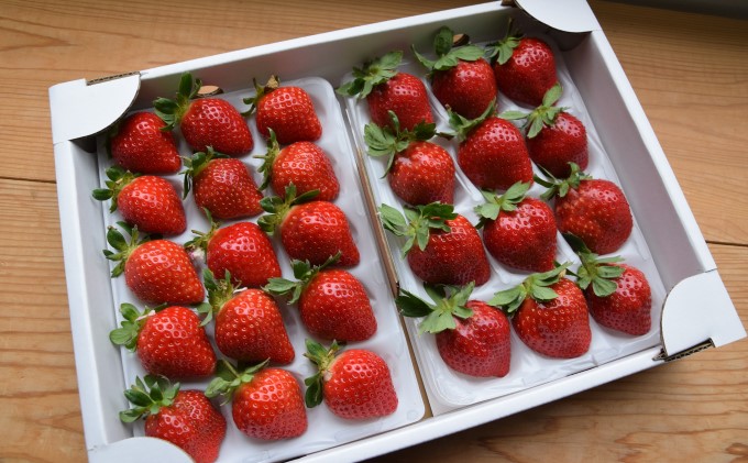 いちご あまおう 18粒～30粒 旬のあまおう ★ Cafe 楓 ★ イチゴ 苺 果物 フルーツ 配送不可：北海道・東北・沖縄・離島 