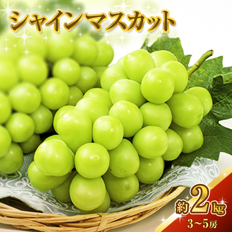 シャインマスカット 約2kg 3～5房 ぶどう 葡萄 フルーツ 岡山 高梁市産 2026年 先行予約 果物類 果物 