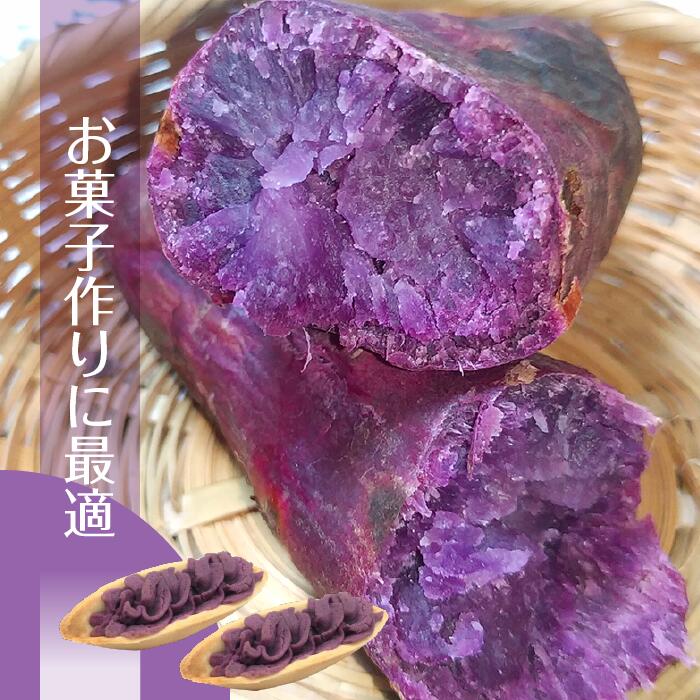 【2025年11月より順次発送】2025年度産 パープルスイートロード 約10kg｜さつまいも 芋 お芋 パープルスイートロード 渋谷農園 先行予約 茨城県 行方市(BZ-8)