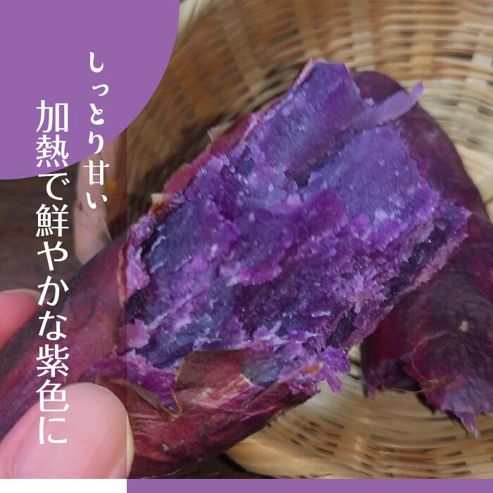 【2025年11月より順次発送】2025年度産 パープルスイートロード 約5kg｜さつまいも 芋 お芋 パープルスイートロード 渋谷農園 先行予約 茨城県 行方市(BZ-9)