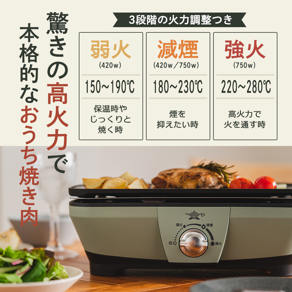 兵庫県加西市のふるさと納税 アラジン グラファイトミニグリラー グリーン 緑 アラジングリル グラファイトグリラー ホットプレート 卓上プレート 減煙 焼肉 野菜 家電 お手入れ簡単 省エネ コンパクト おしゃれ CAG-MG7A G 新生活