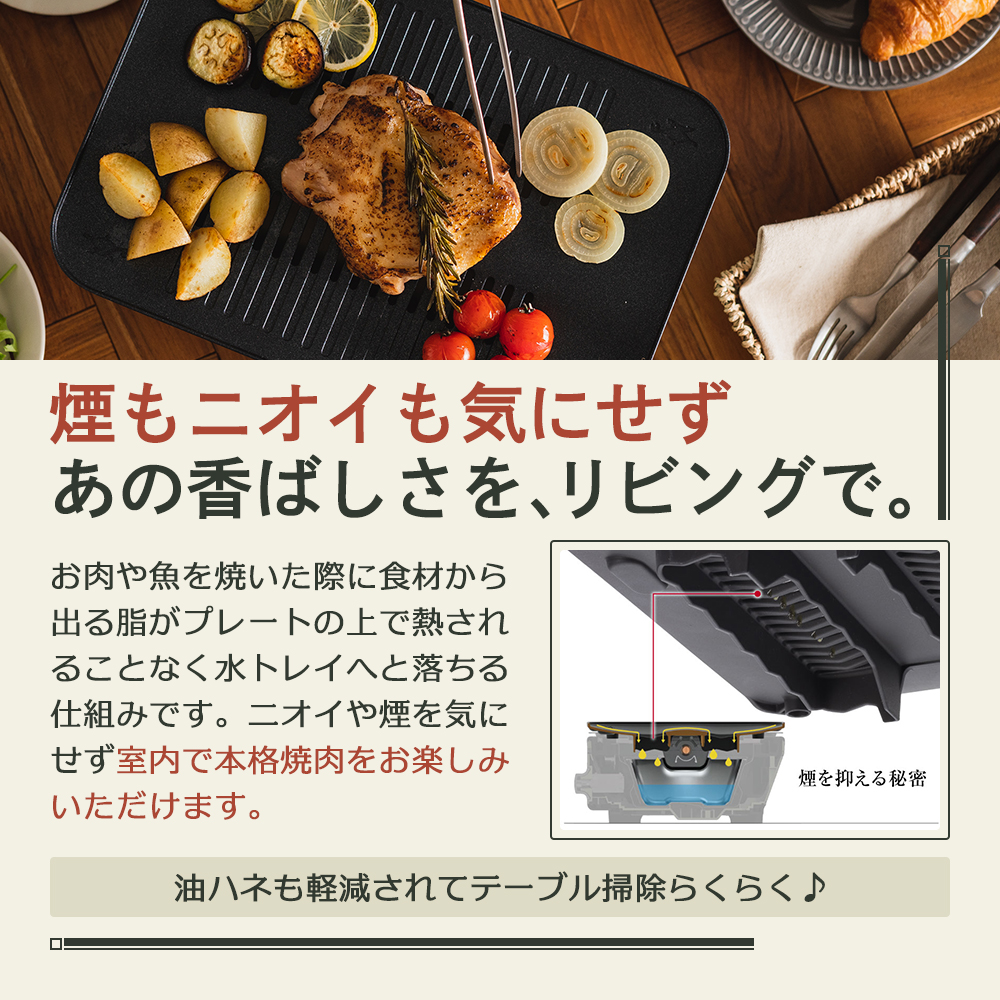 兵庫県加西市のふるさと納税 アラジン グラファイトミニグリラー グリーン 緑 アラジングリル グラファイトグリラー ホットプレート 卓上プレート 減煙 焼肉 野菜 家電 お手入れ簡単 省エネ コンパクト おしゃれ CAG-MG7A G 新生活