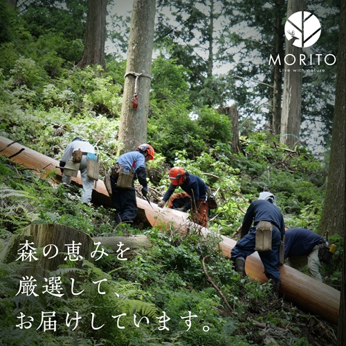 売切＞【MORITO】丸太（切り株）とアイアンスツール（杉）／森庄
