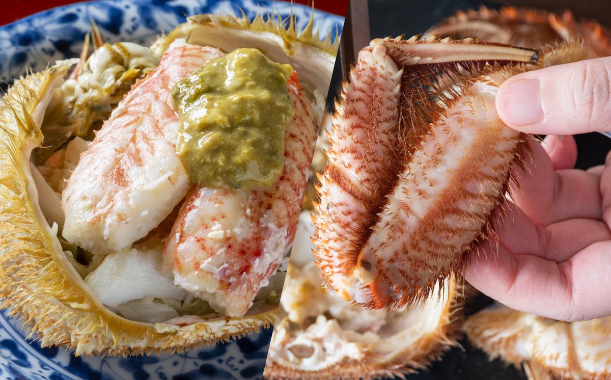 ＜2026年2月から順次発送＞【 定期便 6回 】 北海道産 海の幸 定期便 北海道 サクラマス 鮭 いくら 蟹 北寄 貝 鱒 旬 魚介 海鮮 海産物 ＜ 予約受付 ＞