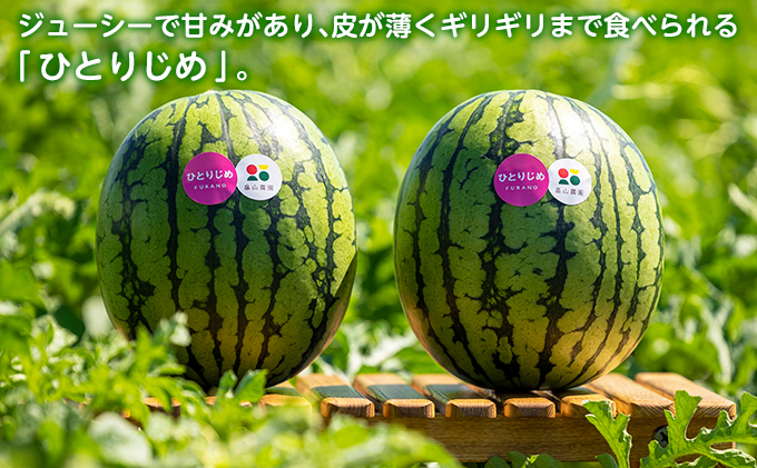 2025夏発送】ひとりじめ こだま スイカ 2玉 北海道 富良野産