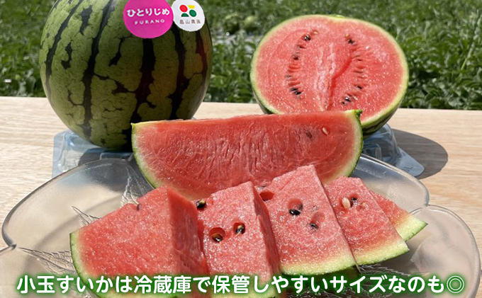 2025夏発送】ひとりじめ こだま スイカ 2玉 北海道 富良野産