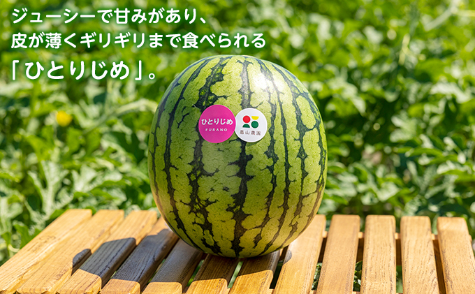 【2026夏発送】ひとりじめ こだま スイカ 1玉 北海道 富良野産 すいか 西瓜 夏 フルーツ ふらの 甘い 糖度 小玉 (畠山農園）