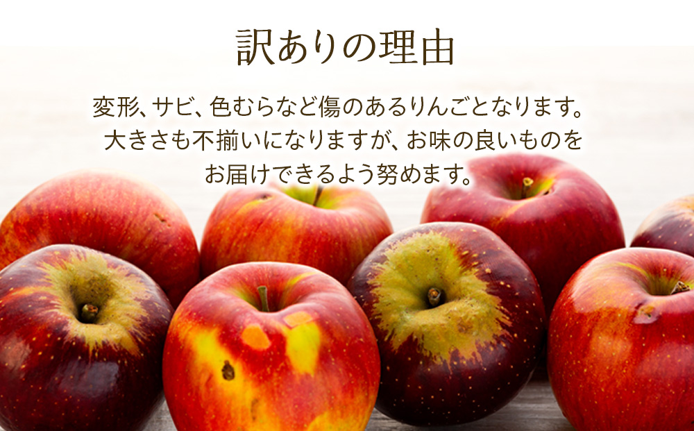 長野県箕輪町のふるさと納税 訳あり りんご あいかの香り 約5kg セット 2025年 令和7年度発送分 リンゴ 林檎 長野 フルーツ 果物 信州産 長野県産 特産 産地直送 家庭用 おすすめ
